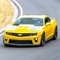 Bumblebee on race track